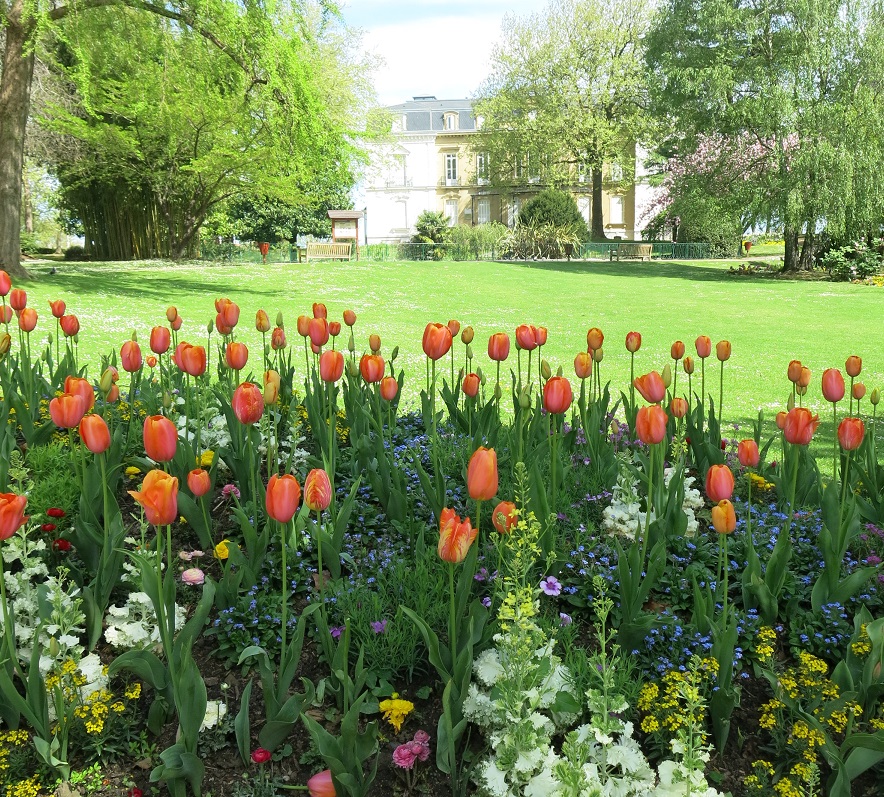 JARDIN