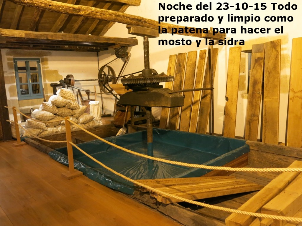 1 TOLARE NOCHE