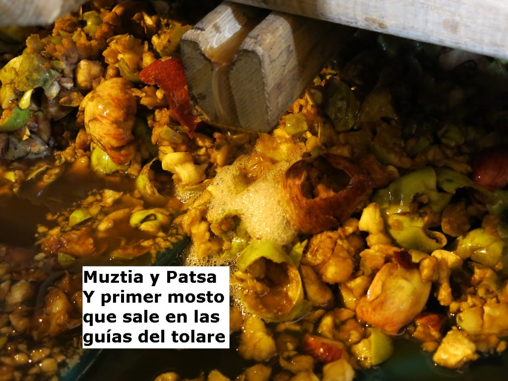 PATSA