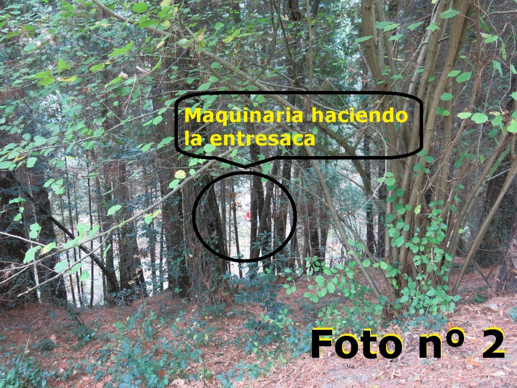 foto nº 2